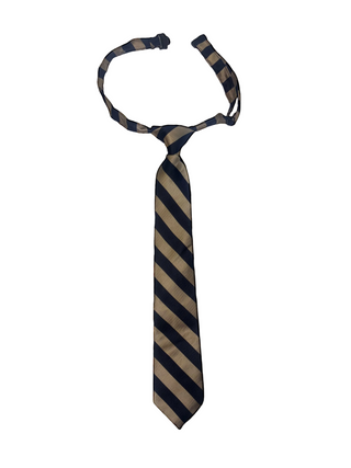 Around The Neck Clip-On Tie